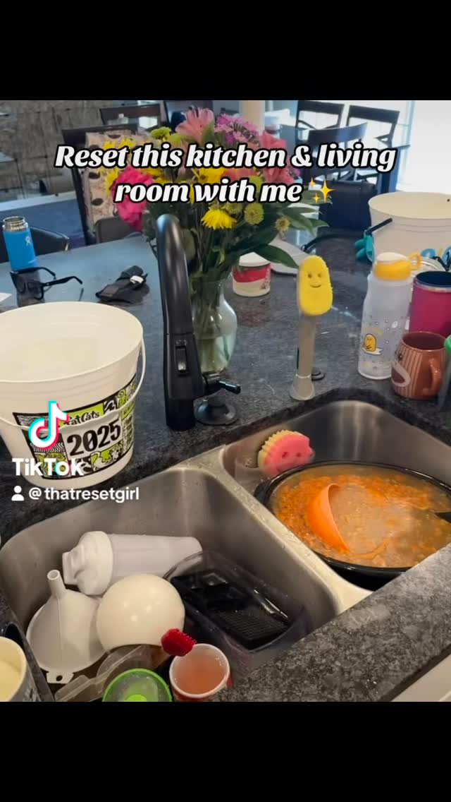 Kitchen sink before a Reset